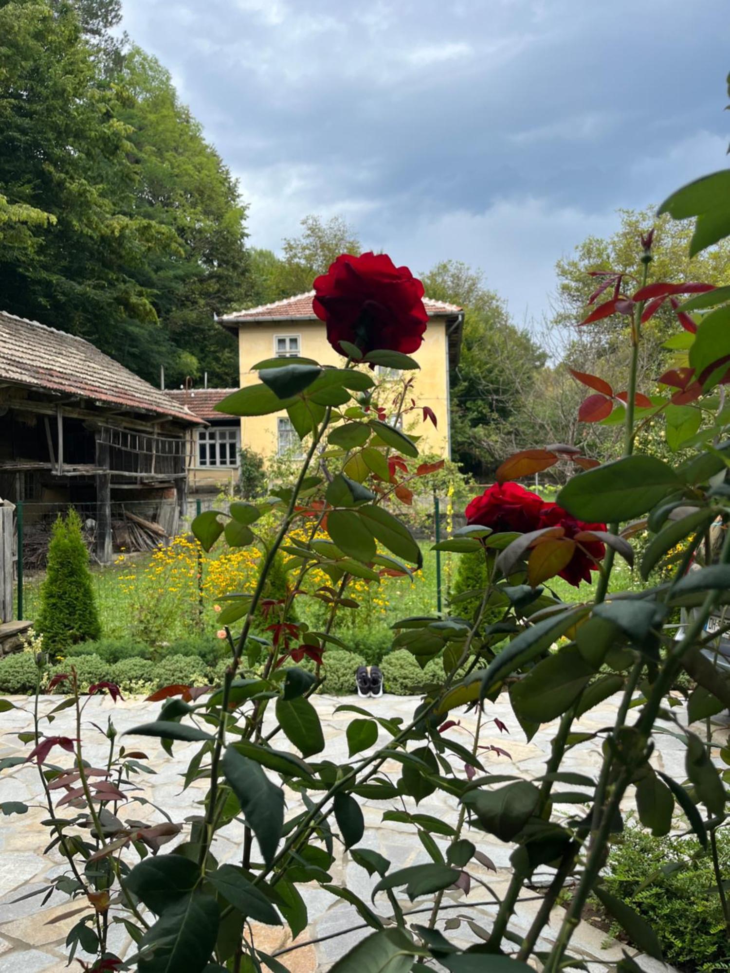 Verta House Trjavna Exteriér fotografie